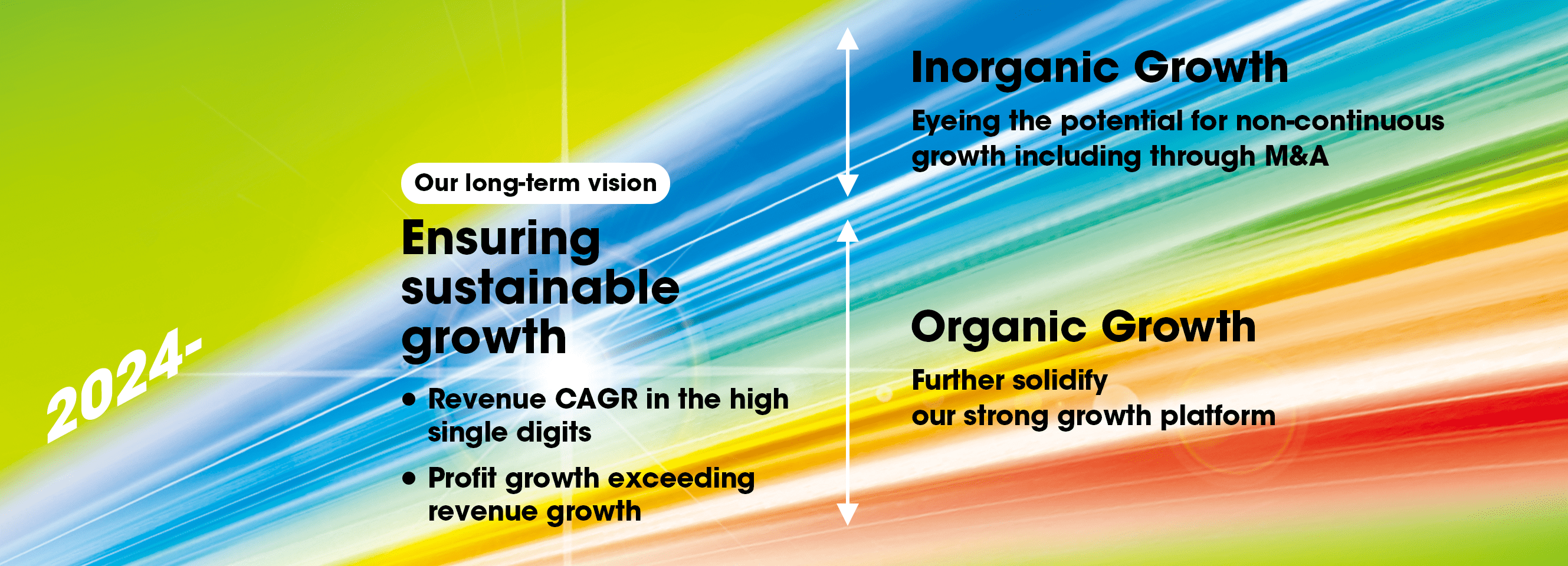 Our long-term vision