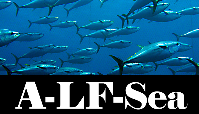 A-LF-Sea