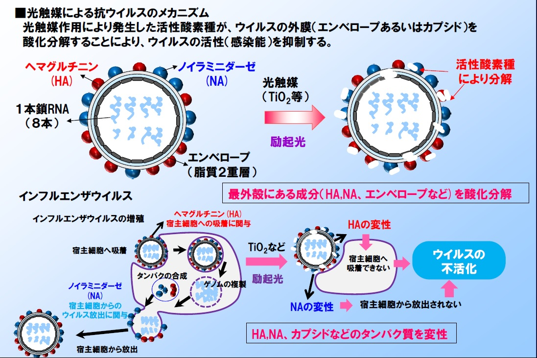 抗菌・抗ウイルス塗料「ニッペパーフェクト インテリアエアークリーン」の無償提供について | 日本ペイントホールディングス